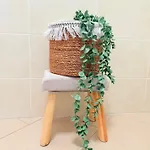 Deny & Carol's House - App. 33 Appartement